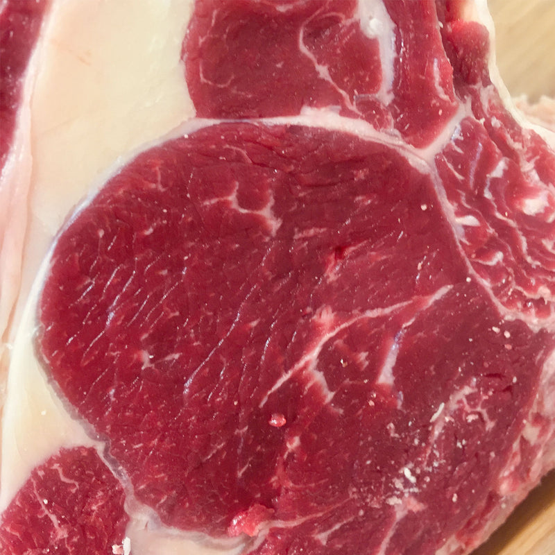 Rubia Gallega Costata Luxury DR+5